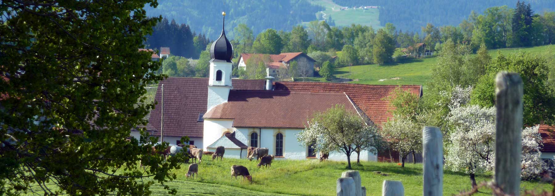 umgebung